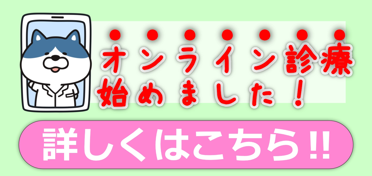 動物病院【らぶ】オンライン診療始めました！
