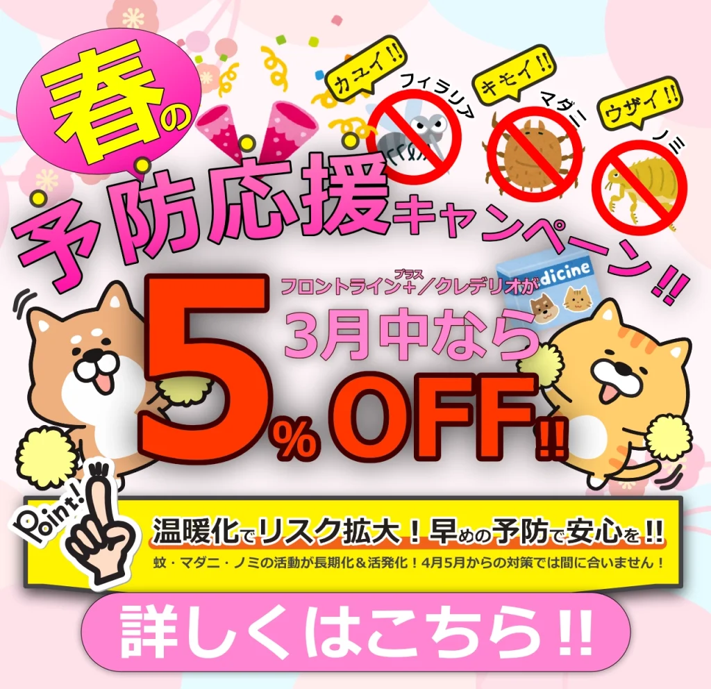 動物病院【らぶ】春の予防応援キャンペーン！